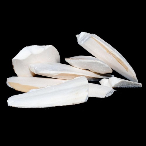 Premium cuttlefish pieces for - premium,