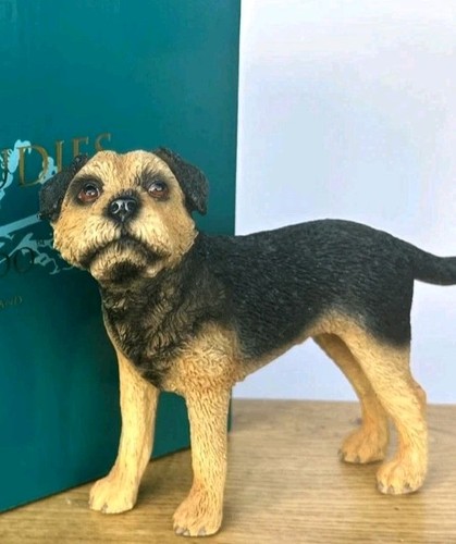 Leonardo border terrier - border,