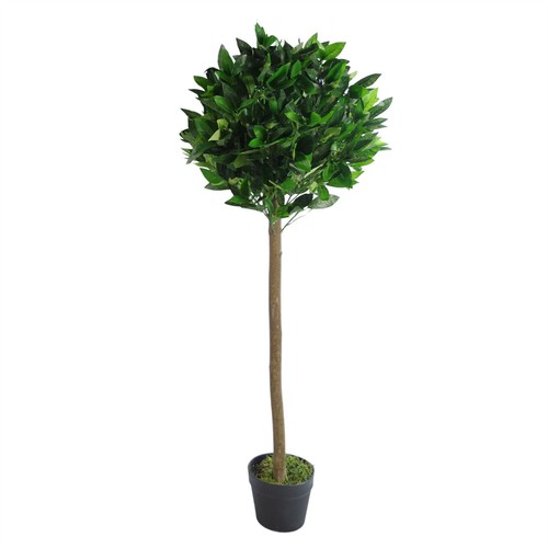 120cm plain natural - 120cm,