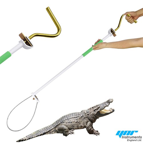 Alligator catch pole control - catch,