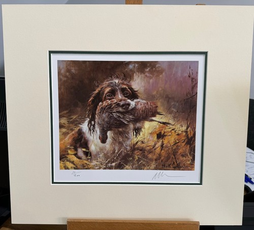 Mick cawston springer - mick,