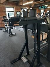 Commercial Gym Equipment: Leg Raise/Dip station