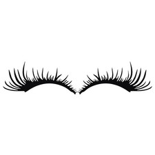 3 Pairs Eye Lashes for Car
