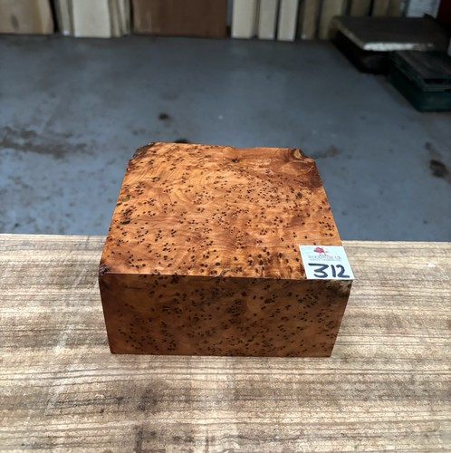 Thuya burr 6 - 6, x