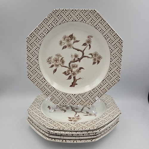 Royal staffordshire j g - 6, j&g