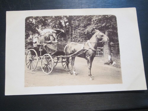 Postcard pony trap with - &,