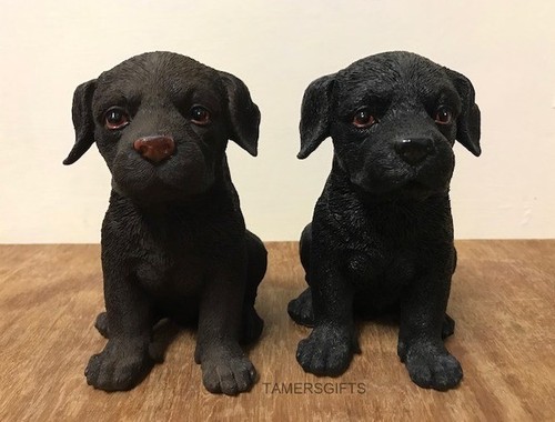 Leonardo puppy love chocolate - leonardo,