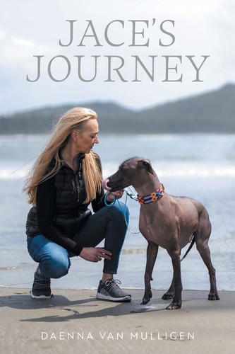 Jace journey van - journey, by