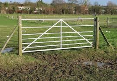 2kg horse pony muddy - 2kg,