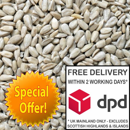 25kg sunflower hearts - 2, x