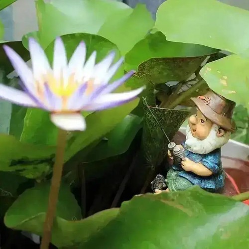 Funny fishing gnome - funny,