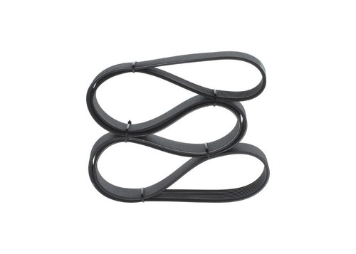 Bosch ribbed belt fits maz - fits,