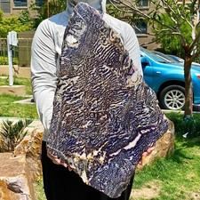 11LB  Zebra Marble End Plate Cabbing Lapidary Carved Spiritual Chakra Utah