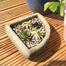 Corner trough stone garden planter alpine succulents