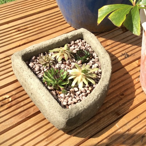 Corner trough stone garden