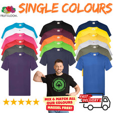 Fruit of the Loom Plain Blank