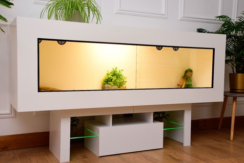 6ft 24 modern reptile - 6ft,