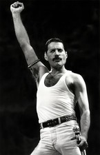 FREDDIE MERCURY