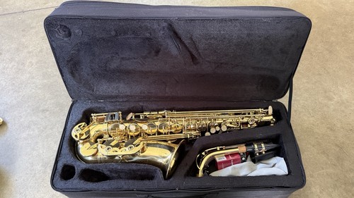 Alto saxophone vivace with - by,
