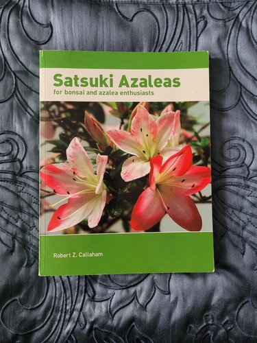 Satsuki azalea robert - azalea, z