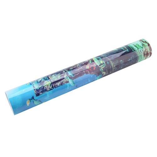 Coral aquarium underwater - coral,