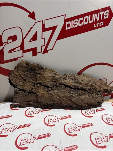 Natural wood log - wood, slice