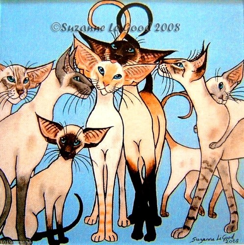Siamese cat print mounted - siamese,