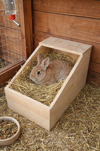 Wooden rabbit nesting - rabbit, whelping