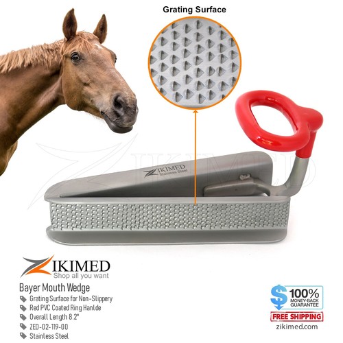 Equine dental bayer horse - bayer,