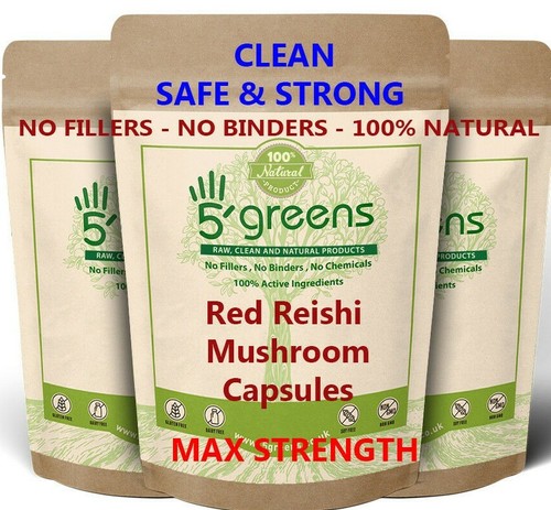 Reishi mushroom dual - mushroom, extract
