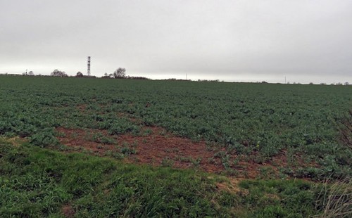 Photo 6x4 towards radio - photo,