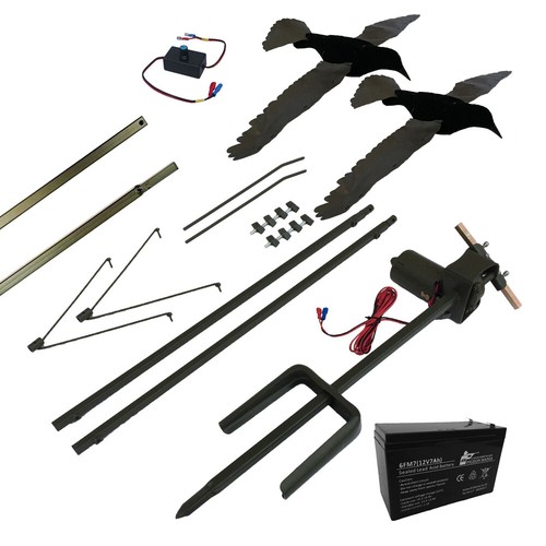 Mega magnet crow pigeon - crow,