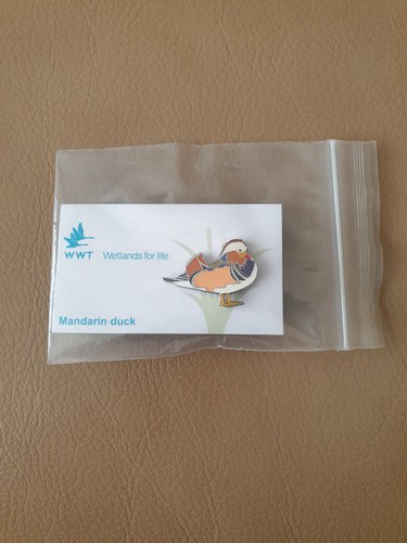 Wwt mandarin duck - duck, pin