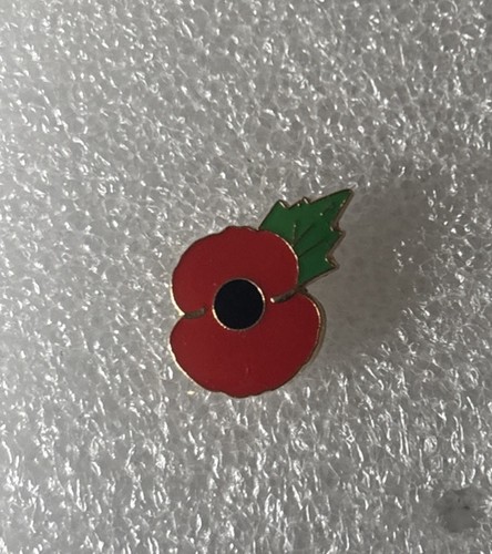 Plain poppy remembrance - poppy¹,
