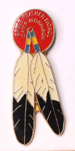 Boy scout eagle feather patrol - eagle,