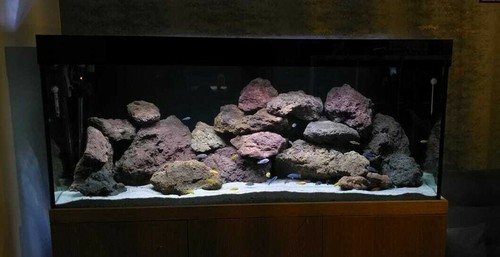 Aquarium rock fish tank - rock,