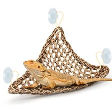 Reptile Hammock Basking