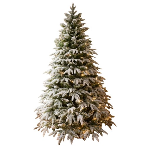 Christmas tree pre - christmas,