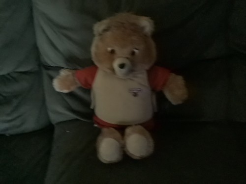 The world teddy ruxpin - world, of