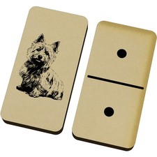 'Norwich Terrier Portrait'