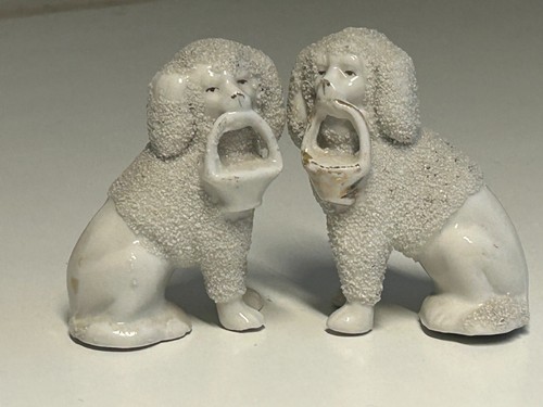 Antique staffordshire poodle - staffordshire,