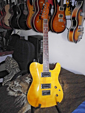 Fender Special Edition Custom