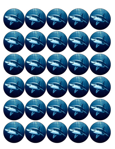 30x great white - great, premium