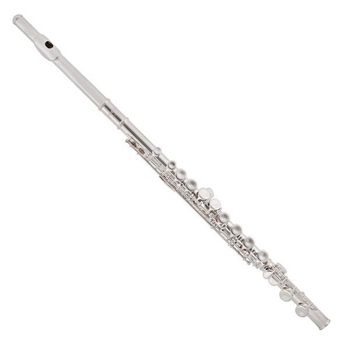 Student flute with - flute, case