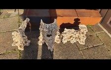 marine aquarium aquaroche  3