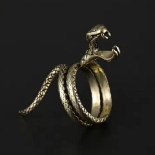 Adjustable dragon shaped - shaped, ring