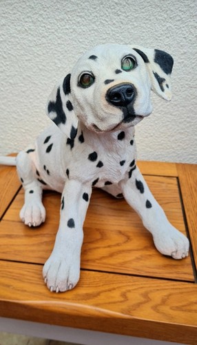 Large heavy dalmatian dog - large,