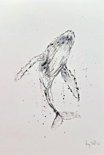 Original WHALE Ink Sketch #65