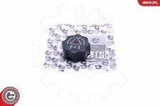61SKV025 ESEN SKV CAP, COOLANT