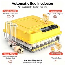 24 Eggs Incubator Temperature